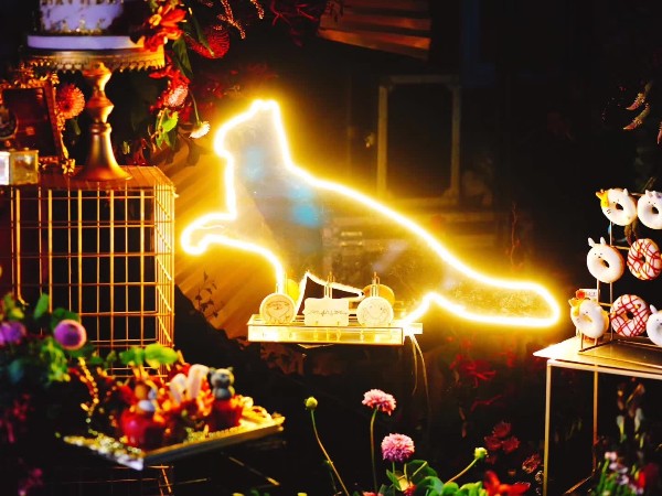 演出黃金市場節約舞臺搭建服務成本看這